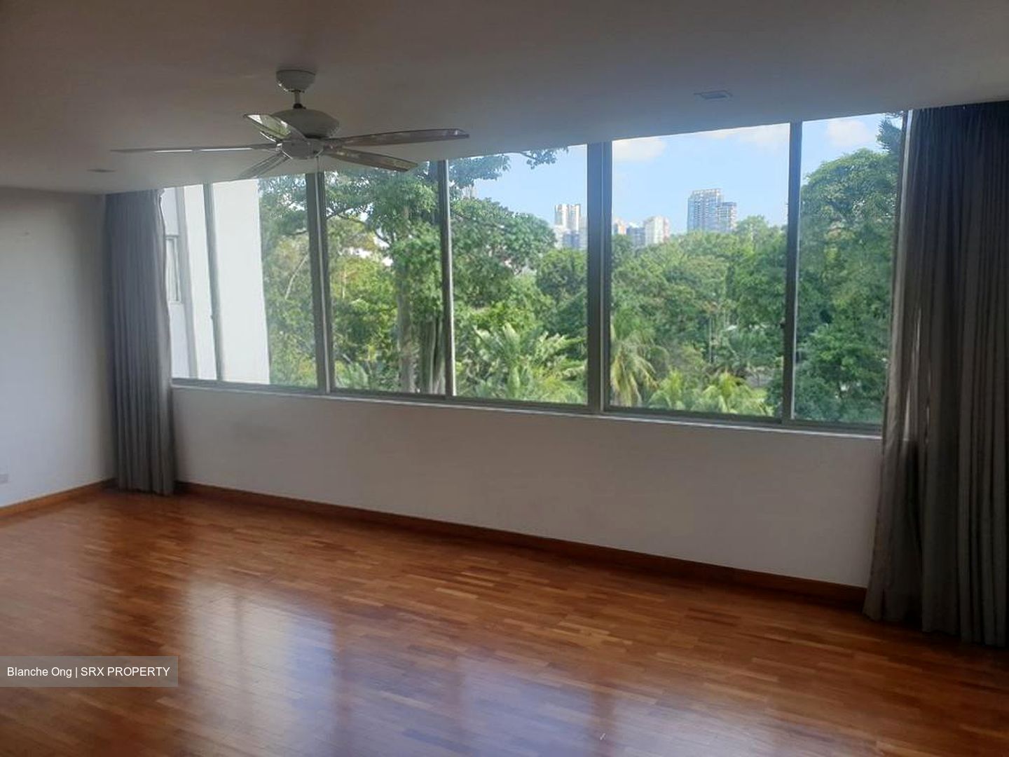 Nassim Regency (D10), Condominium #509218701